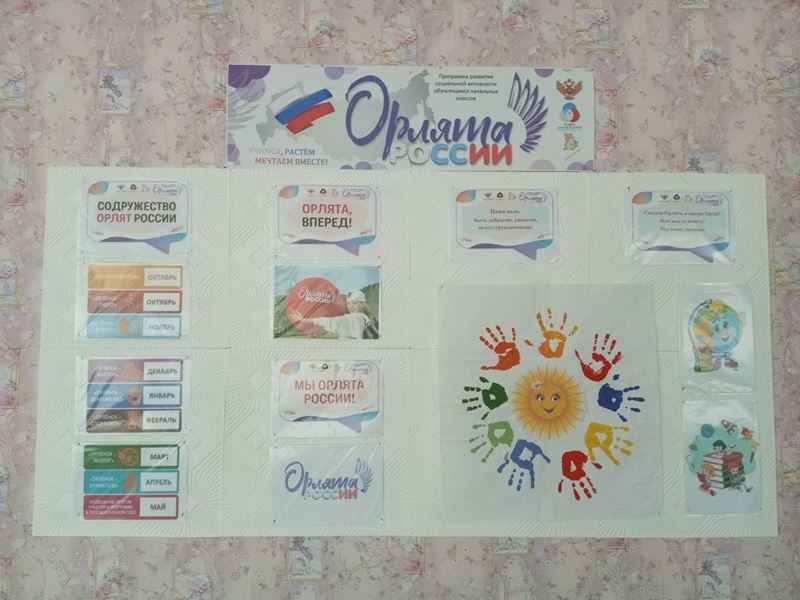 Экспозиция &amp;quot;Орлята России&amp;quot;.